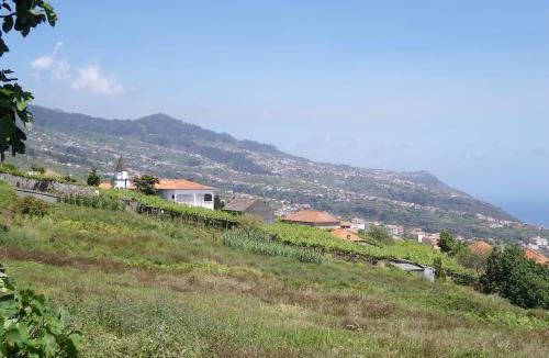 Estreito da Calheta House | A charming spot