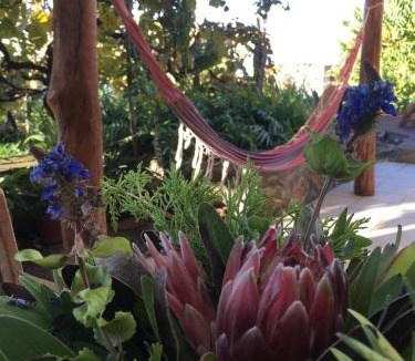 Estreito da Calheta House | A charming spot