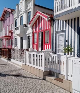 Oliveira do Bairro House | Gite espumante