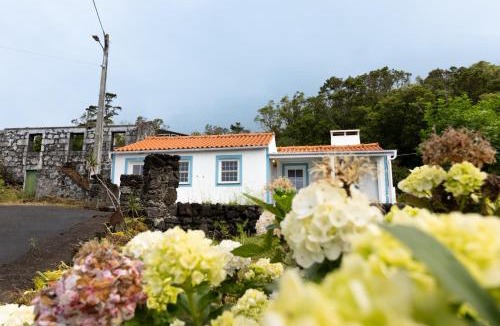 Sao Caetano Villa | Casa da Mãe - Entre o Pico e a Maré