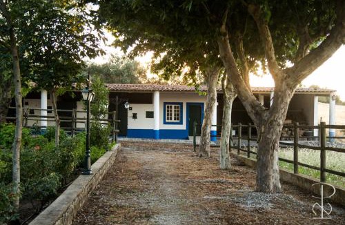 Alcacovas House | Quinta do Poço Novo