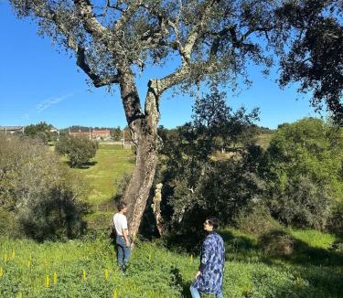 Sao Pedro de Tomar House | A cozy cottage in Tomar - Quinta da Cachopa