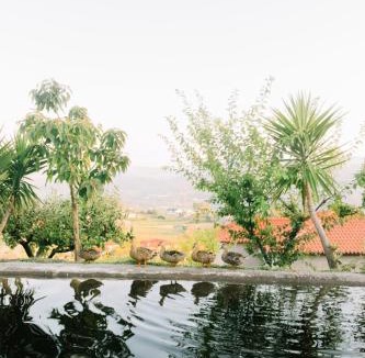 Cabeceiras de Basto House | Encosta do Sol