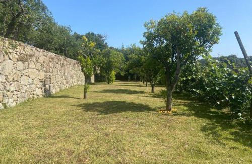 Sever do Vouga House | Quinta do Vale Vaqueiro