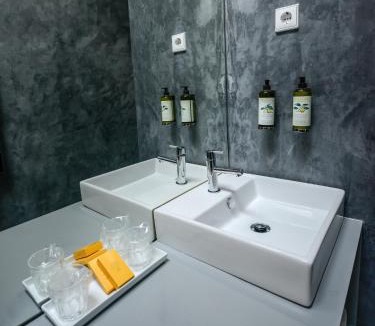 Provesende House | Morgadio da Calcada Douro Wine&Tourism