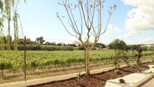 Gale Resort | Glenridge By Albufeira Rental