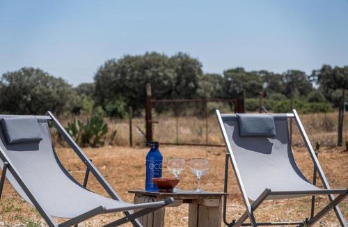 Estremoz House | Quinta do Mocho by Portus Alacer