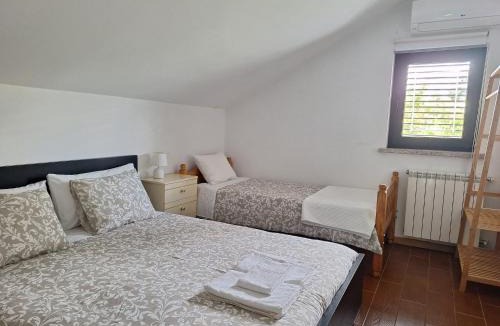 Castro Daire House | Cantinho do Mel