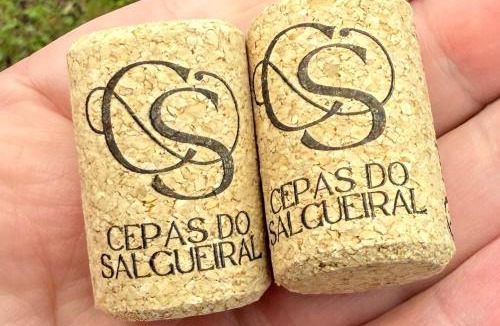 Tondela Apartment | Cepas do Salgueiral - Guest House - Apartamento Centro de Tondela