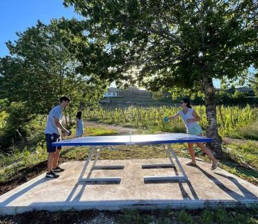 Molares House | Villa Seara - Casas da Vinha