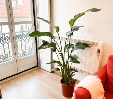 Sacramento Apartment | Stunning Luxury Apartment in Chiado 1BR
