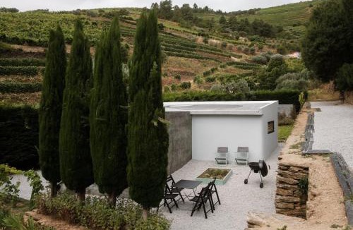 Sao Joao da Pesqueira House | BABhouse Villa Jardim das Oliveiras