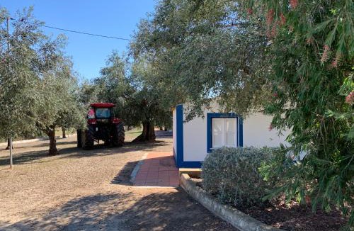 Alvito House | Quinta do Céu Tranquilidade e Piscina no Alentejo