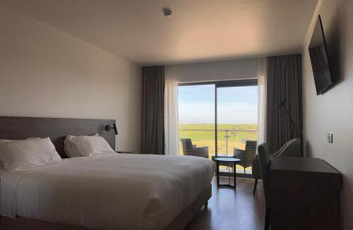 Ferreira do Alentejo Hotel | Hotel O Gato & Spa