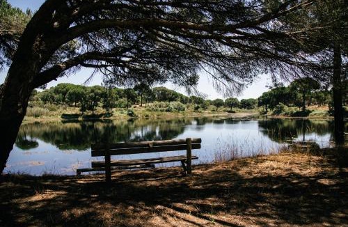 Santa Maria do Castelo Apartment | Herdade de Montalvo - Comporta