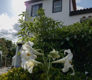Cabo Branco Hostel | Loving Strangers Hostel