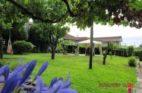 Vila Nova de Famalicao House | Casa com Piscina Privada de 10m e Jardim, até 8 pessoas, perto do Porto