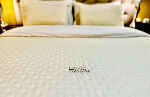 Braganca Hotel | Hotel Tulipa