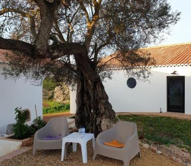 Tavira House | Monte das Açoteias - Agroturismo