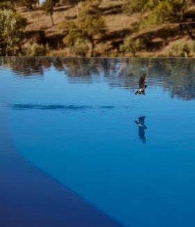 Santa Margarida da Serra House | The Blue House Valley