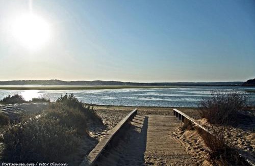 Montes de Alvor Apartment | Varinos House