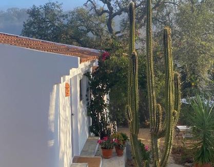Sao Luis House | Três Figos