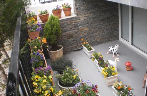 Braganca Hotel | Hotel Santa Apolonia