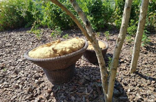Vinho House | New Honey House, Serra do Marão Ansiães-Amarante