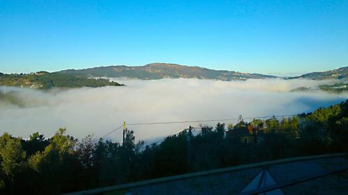 Oliveira do Douro Hotel | ArsDurium Douro Hotel Rural