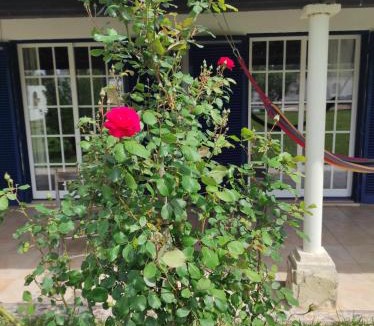 Tomar Hostel | Fazenda do Marante