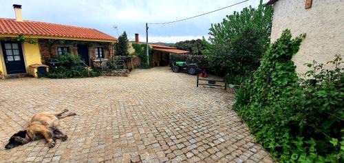 Longroiva House | Quinta do Chao D'Ordem