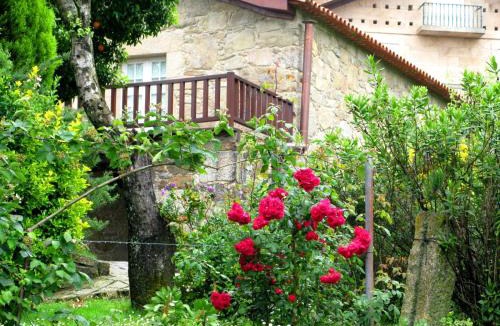 Sever do Vouga House | Casa da Aldeia