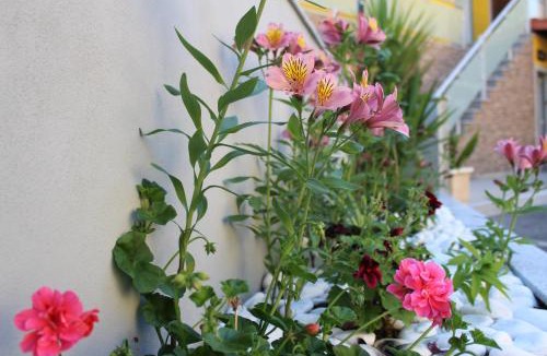 Terras de Bouro House | Alojamento Por do Sol