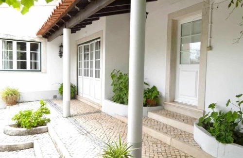 Torres Novas House | Casa dos Pocinhos - Férias tranquilas no campo