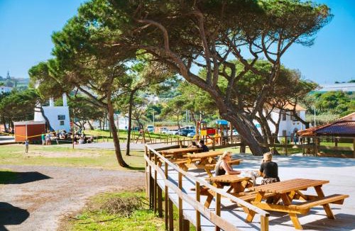 Colares Hostel | Oasis Backpackers Hostel Sintra Surf
