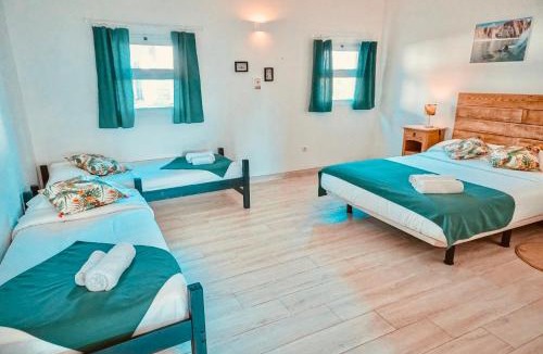 Colares Hostel | Oasis Backpackers Hostel Sintra Surf