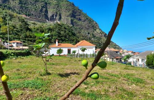 Sao Vicente House | Casa do Bago