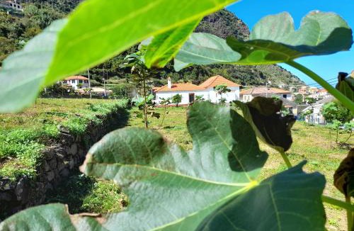 Sao Vicente House | Casa do Bago