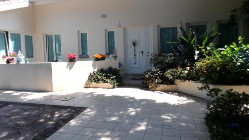 Afife Bed & Breakfast | Casa de Trajinha B&B