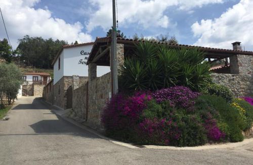 Penacova House | Casas no Terreiro