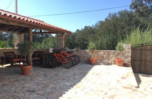 Penacova House | Casas no Terreiro