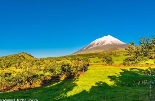 Calheta de Nesquim House | Casa Do Avô Faidoca # PICO HOLIDAY RENTALS
