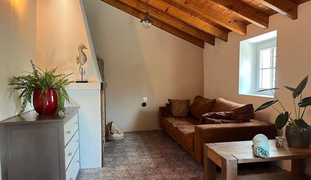 Nice country house with plungepool, beach 3km in Odeceixe