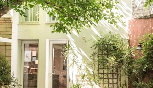 The House With a Tree , for Families and Friends! in Vila Nova de Milfontes