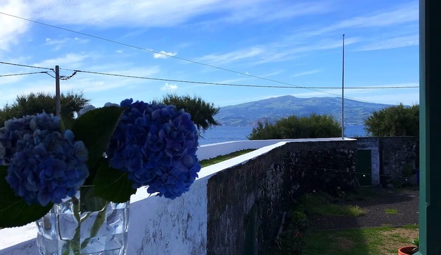 1 Bedroom Flat in spacious garden in Madalena