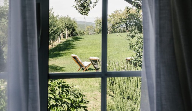 Historic House Alto Douro - 3 bedrooms, living rooms, , fireplaces, garden in Vila Pouca de Aguiar