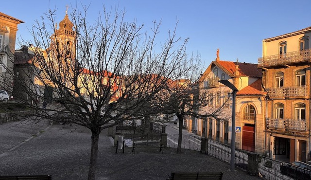 Cozy apartment in Old Town, steps to Parque das Nogueiras & 8 mins to thermals! in Sao Pedro do Sul