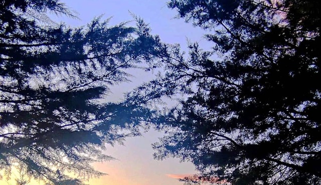 Casa Florestal @quintafelizardas