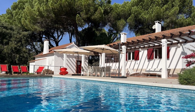 Private Pool Paradise in TOMAR
