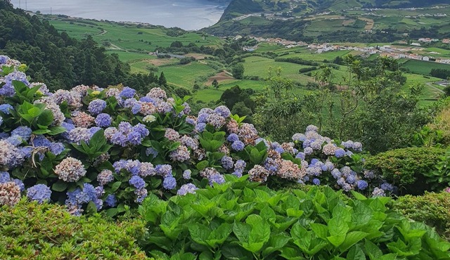 Casa do Monte in Faial da Terra
